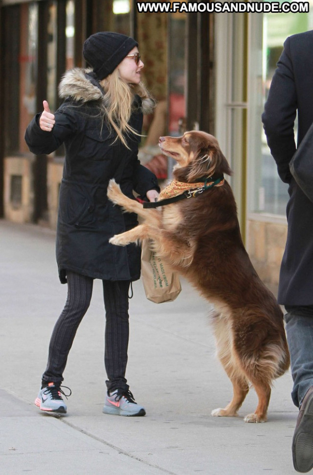 Amanda Seyfried Nyc Paparazzi Beautiful Babe Posing Hot Celebrity